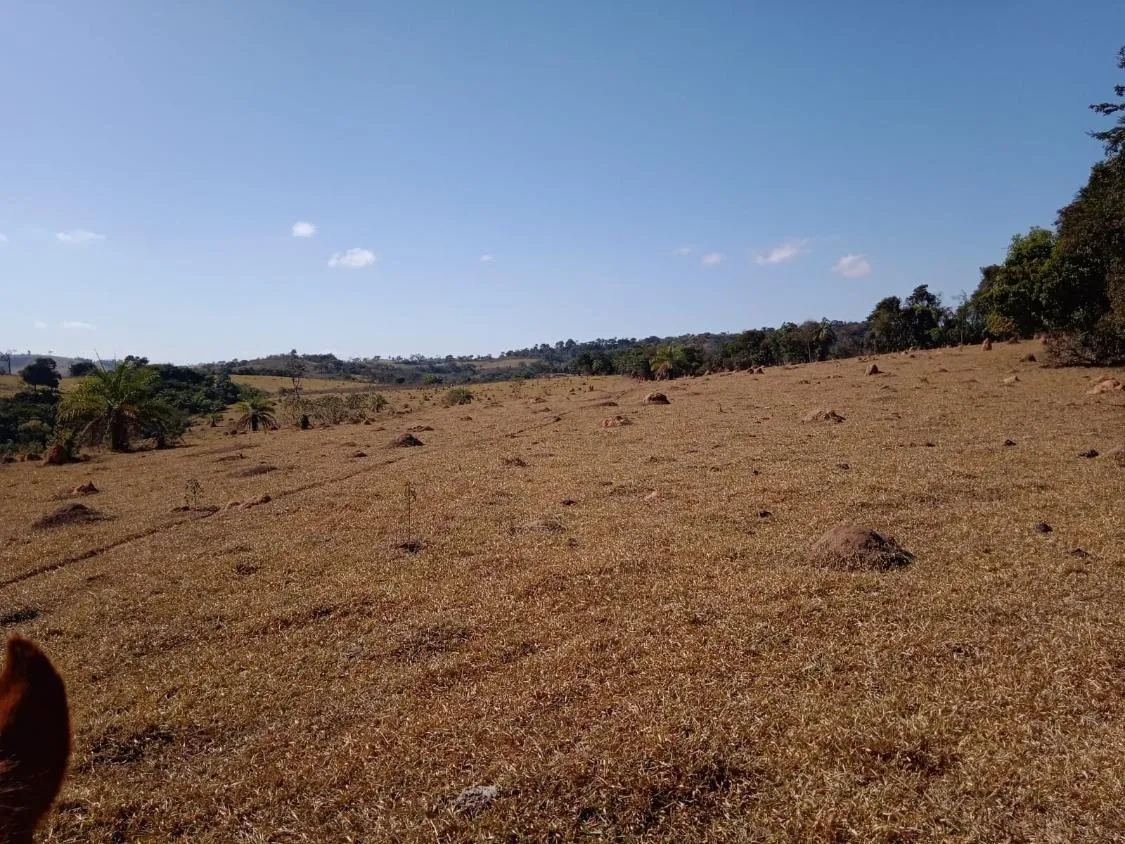 Imagem Vendo Excelente Fazenda em Bonfim/MG 90 hectares de terra
