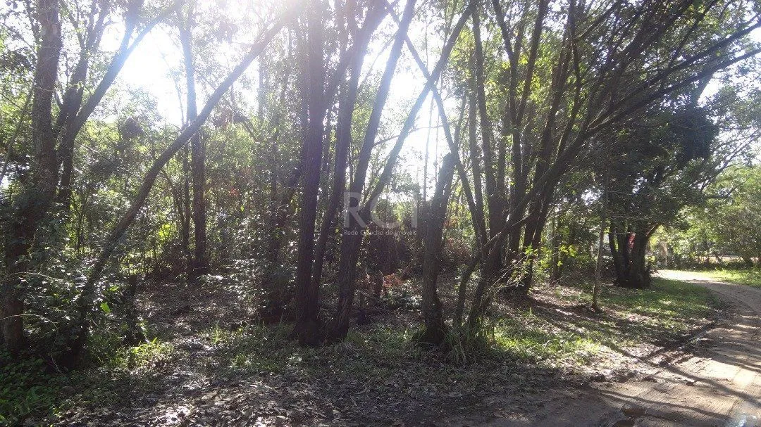 Imagem Area para Venda - 0m², 0 dormitórios, Hípica