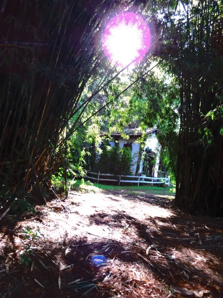 Imagem Chácara à venda 145200M², Paiol, Guaratinguetá - SP