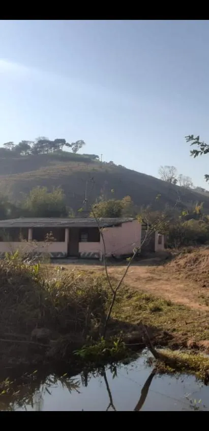 Imagem Vendo Chácara em Crucilândia com 5.000 m² de area