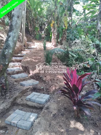 Imagem Sítio a VENDA, com casa a beira de riacho, em Nova Trento Distância da cidade de 13Km, de fácil acesso. De área com 5.000m² com escritura,