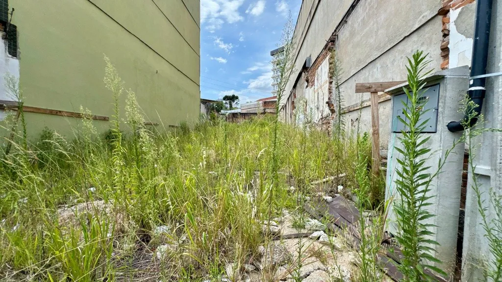 Imagem Terreno em São João
