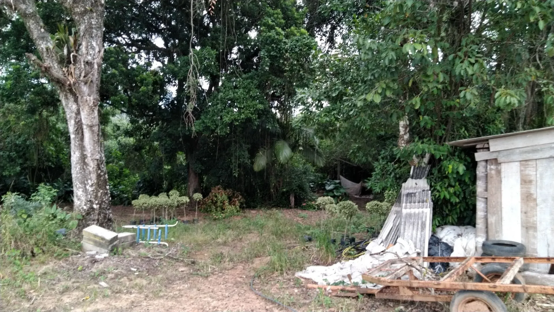 Imagem Sítio à venda com , 26.000m² em Tijuquinhas (Guaporanga) Biguaçu