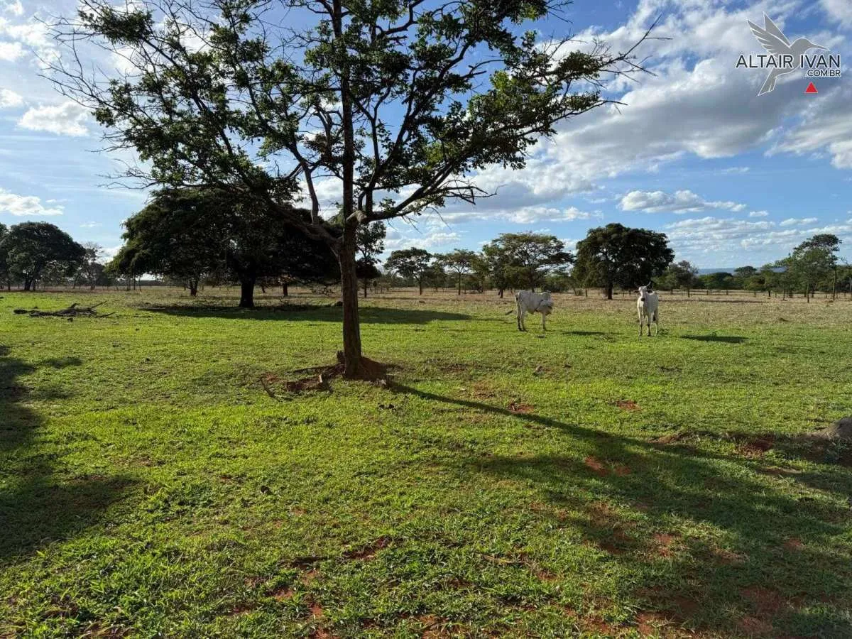 Imagem Fazenda em Bocaiuva MG