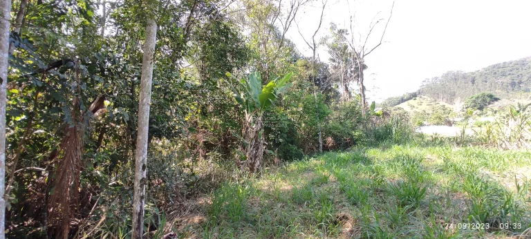 Imagem Terreno para a sítio, em Salto do Major Gercino SC. Com área plana, com terra boa de plantio. Tem mais de 30 metros um lindo RIACHO nos fundos, com ág