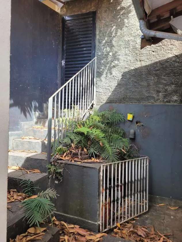 Imagem Ótima Oportunidade Comercial na Rua Onze de Agosto
