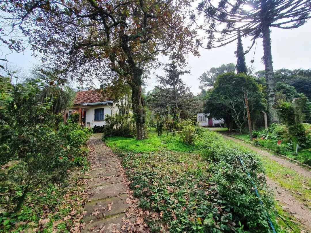 Imagem DOIS GRANDES TERRENOS localizados