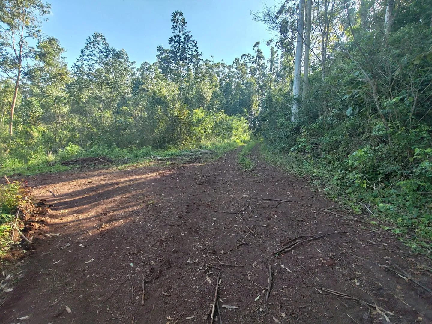 Imagem Chácara com 25.945 m² à venda em São Miguel do Iguaçu