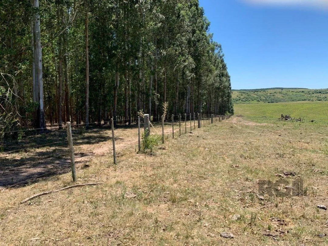 Imagem Fazenda em Zona Rural