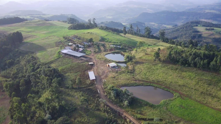 Imagem Área Agrícola para Venda em Concórdia, Interior