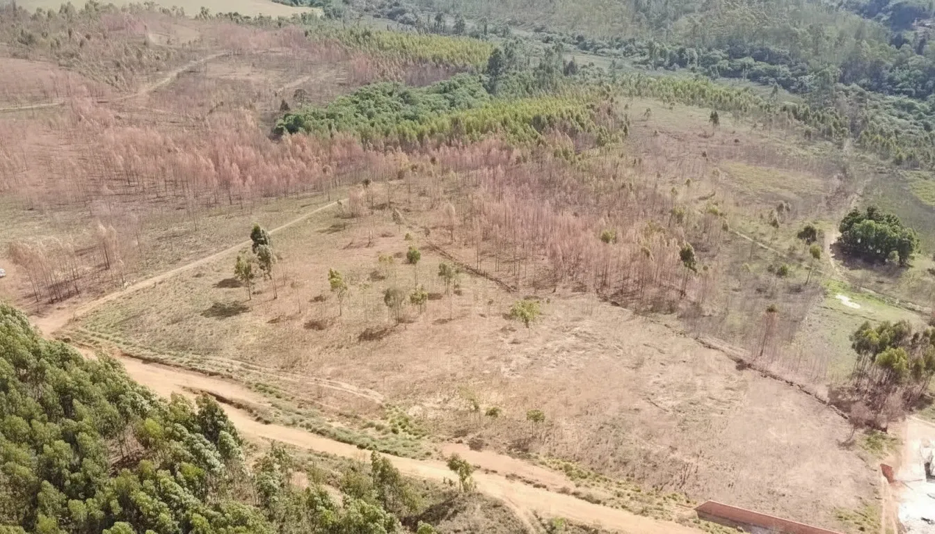Imagem Gleba 20.000 m² à venda em Jardim Paraíso, Poços de Caldas