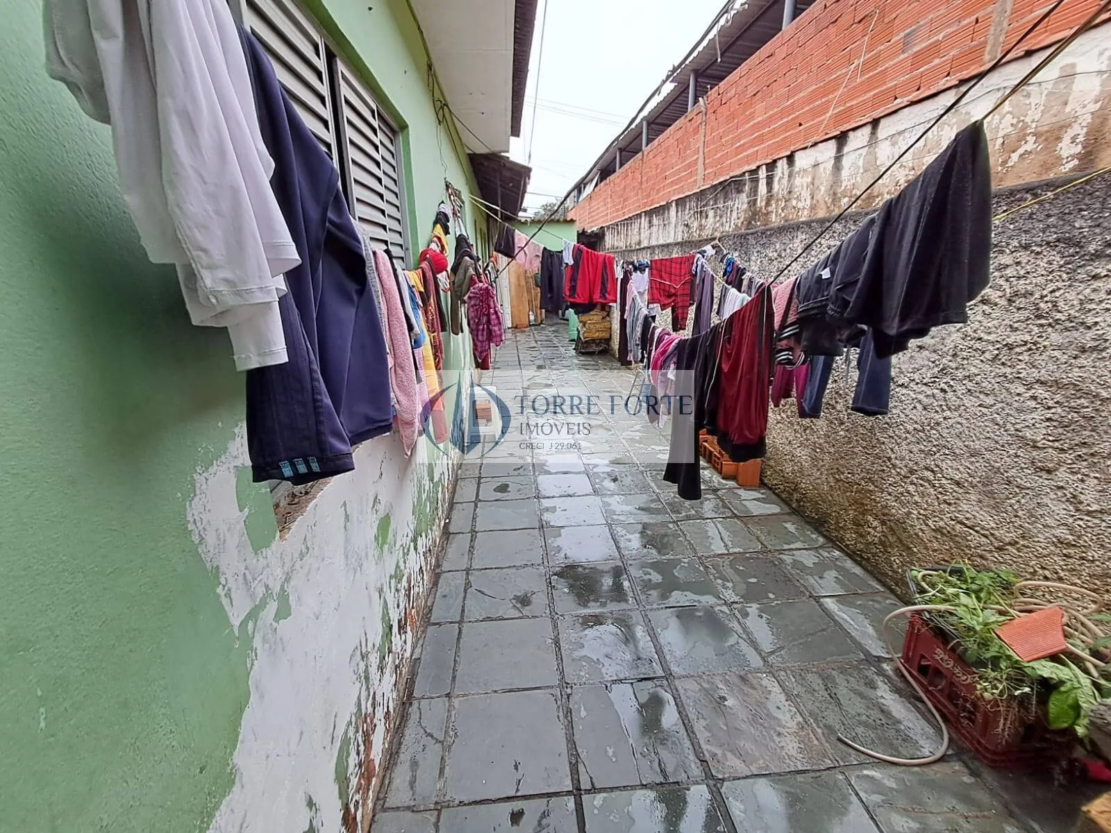Imagem Terreno com 3 casas na Chacarra Belenzinho