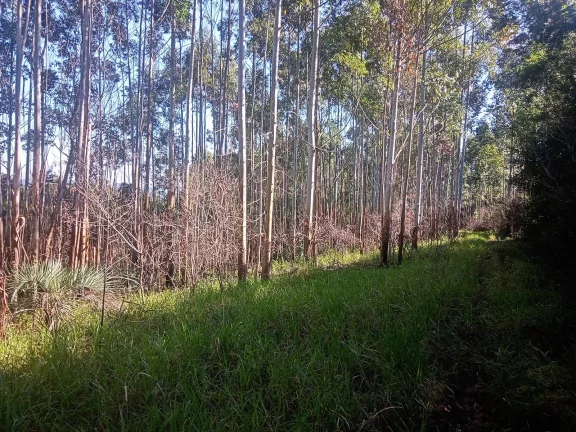 Imagem Excelente Área para Investimento - 29 Hectares, Pimenta, Viamão/RS