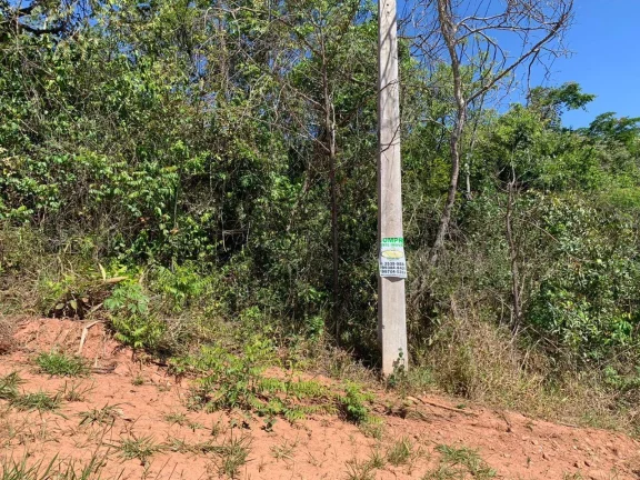 LOTE COM ÓTIMA TOPOGRAFIA,