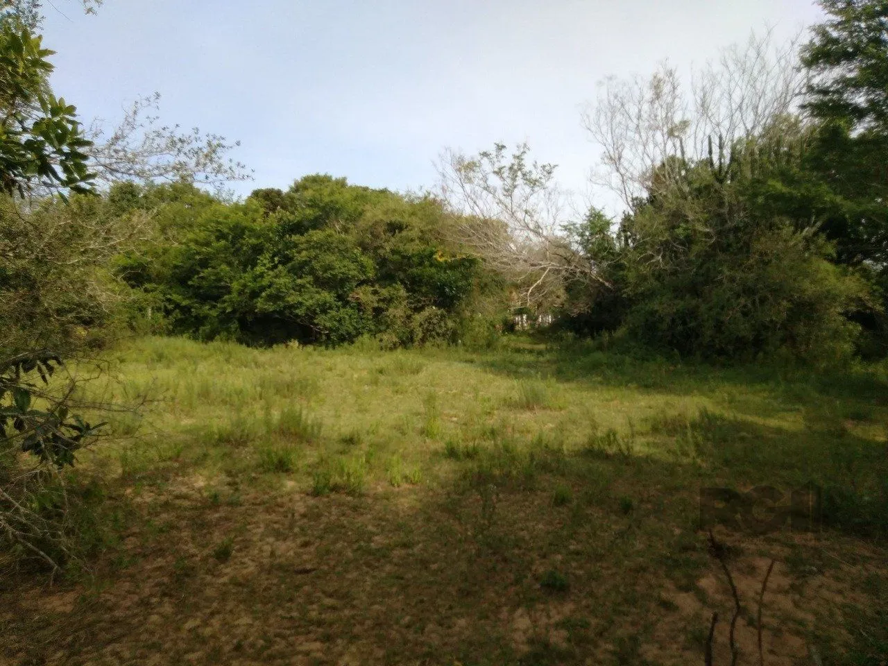 Imagem SITIO EM VIAMAO, RS, A VENDA, NAS PROXIMIDADES COM RS-040 E CONDOMINIO GOUFE II