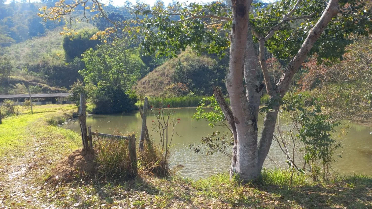 Imagem SITIO - JOANOPOLIS