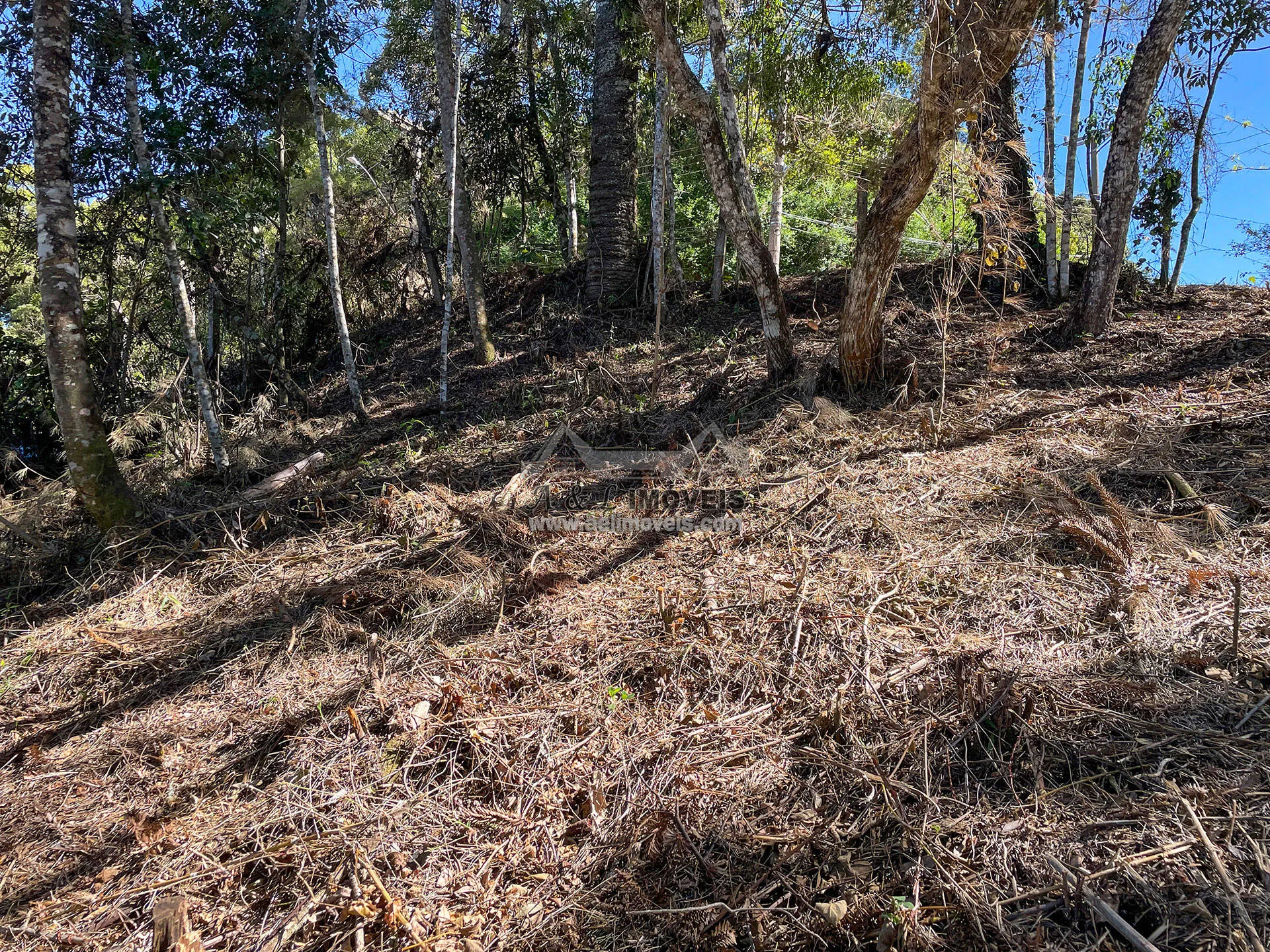 Imagem Terreno à venda em Campos do Jordão - Excelente opção para investimento