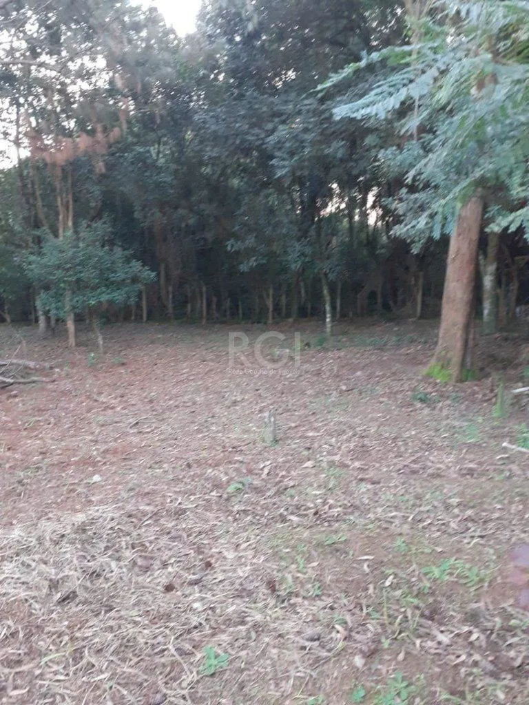 Imagem Terreno para Venda - 0m², 0 dormitórios, Sítio Túnel Verde