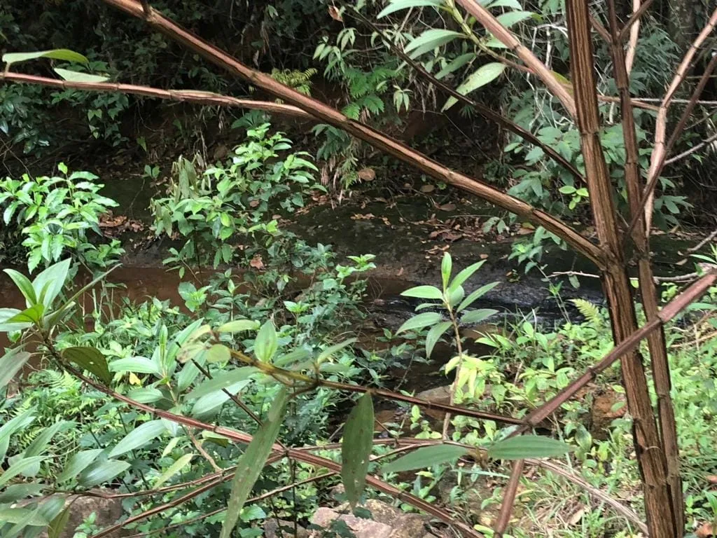 Imagem Chácara à venda 1 Quarto, 57596M², Pinga, Pindamonhangaba - SP