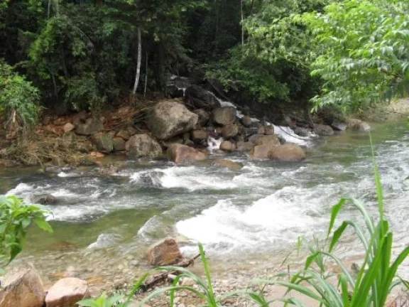 Foto do imóvel Terreno 1170m2 - Condôminio Fechado.