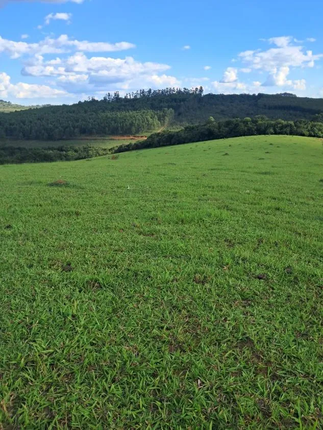 Foto do imóvel Terreno à Venda entre Oliveira e Morro do Ferro: 33 Hectares com Topografia Plana