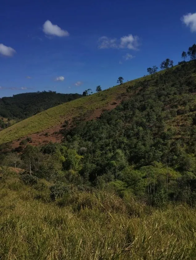 Imagem Excelente Terreno à Venda em Piranga/MG: 36 Hectares com Rica Infraestrutura