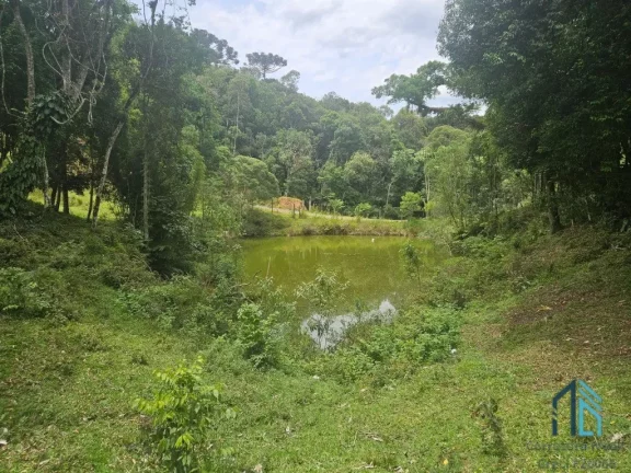 Imagem Chácara 04 casas, um comércio, tanque de peixes, ótimo investimento em QUATRO BARRAS PR