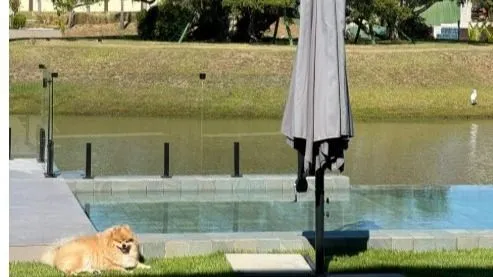 Imagem Casa em Condomínio de Luxo em Eldorado do Sul