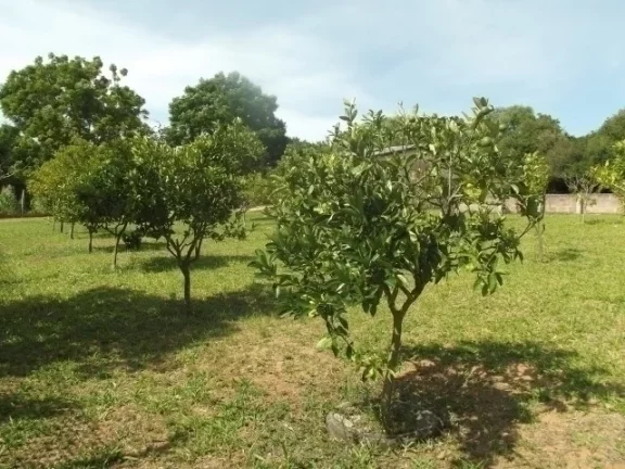 Imagem Sitio residencial em condomínio, Águas Claras / Viamão