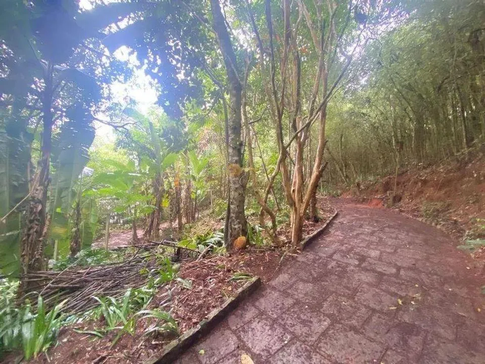 Imagem Terreno para Venda em Teresópolis / RJ no bairro Jardim Salaco