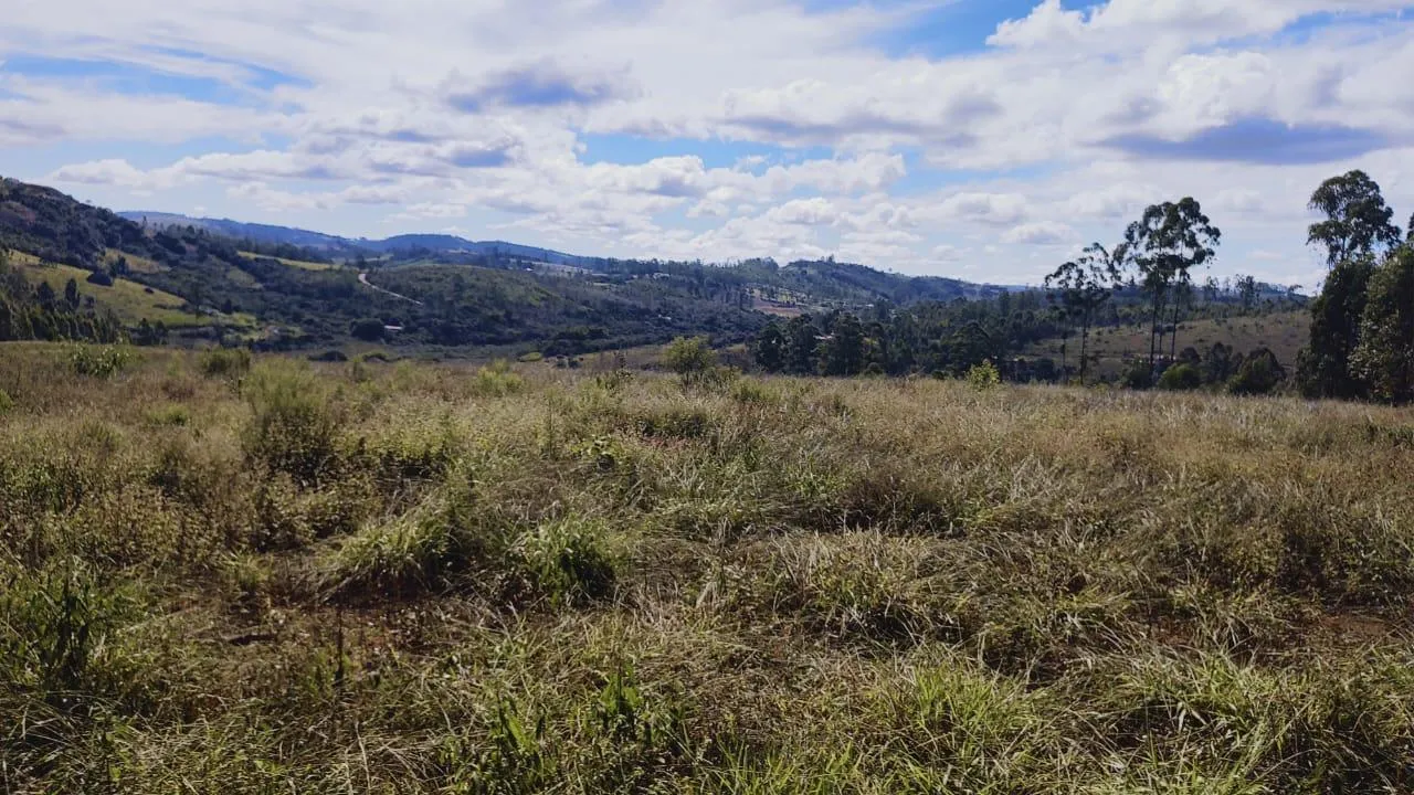 Imagem Excelente Terreno à Venda em Desterro de Entre Rios: 15 Hectares Totalmente Plano