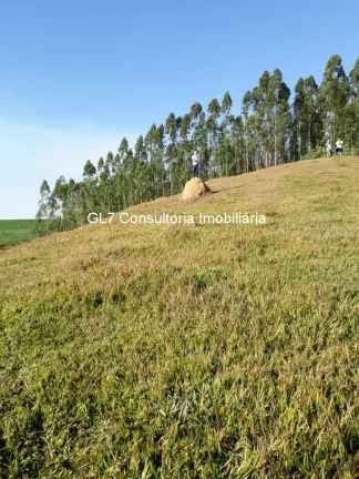 Imagem ÁREA 21.000 m2 URBANIZADA EM ELIAS FAUSTO SP.