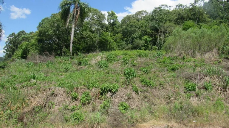 Imagem Terreno para Venda em Concórdia, Rural