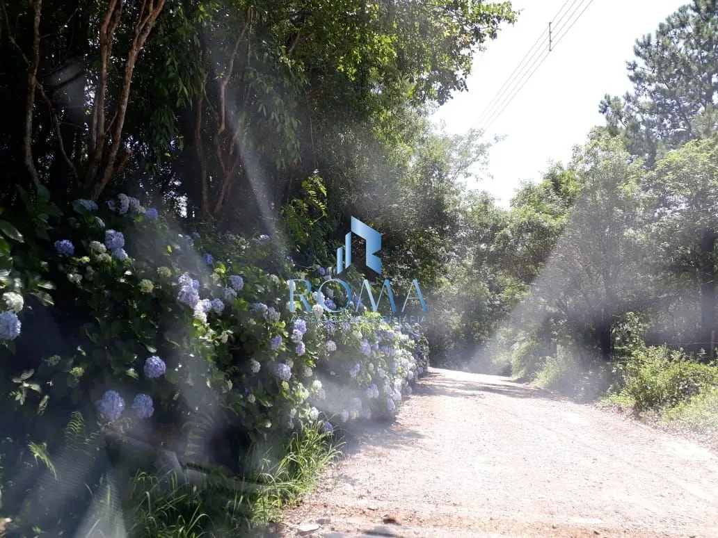 Imagem CERRITO
