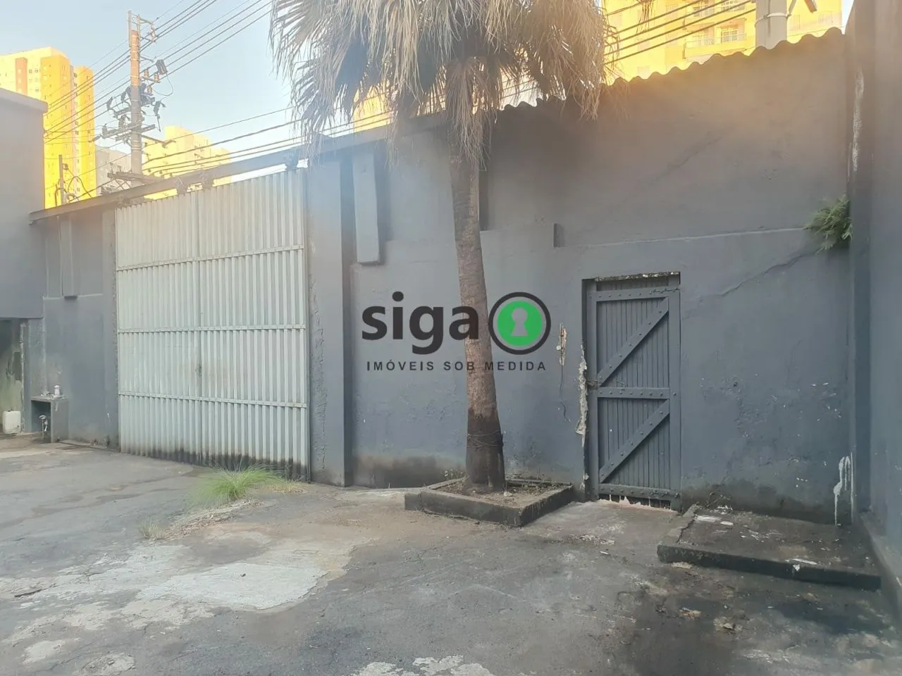 Imagem Galpão 1747 m² a venda Tatuapé