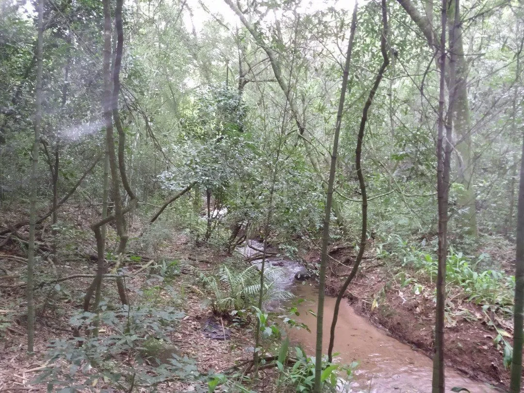 Imagem Área para Venda - 11,39ha, bairro Belém Velho