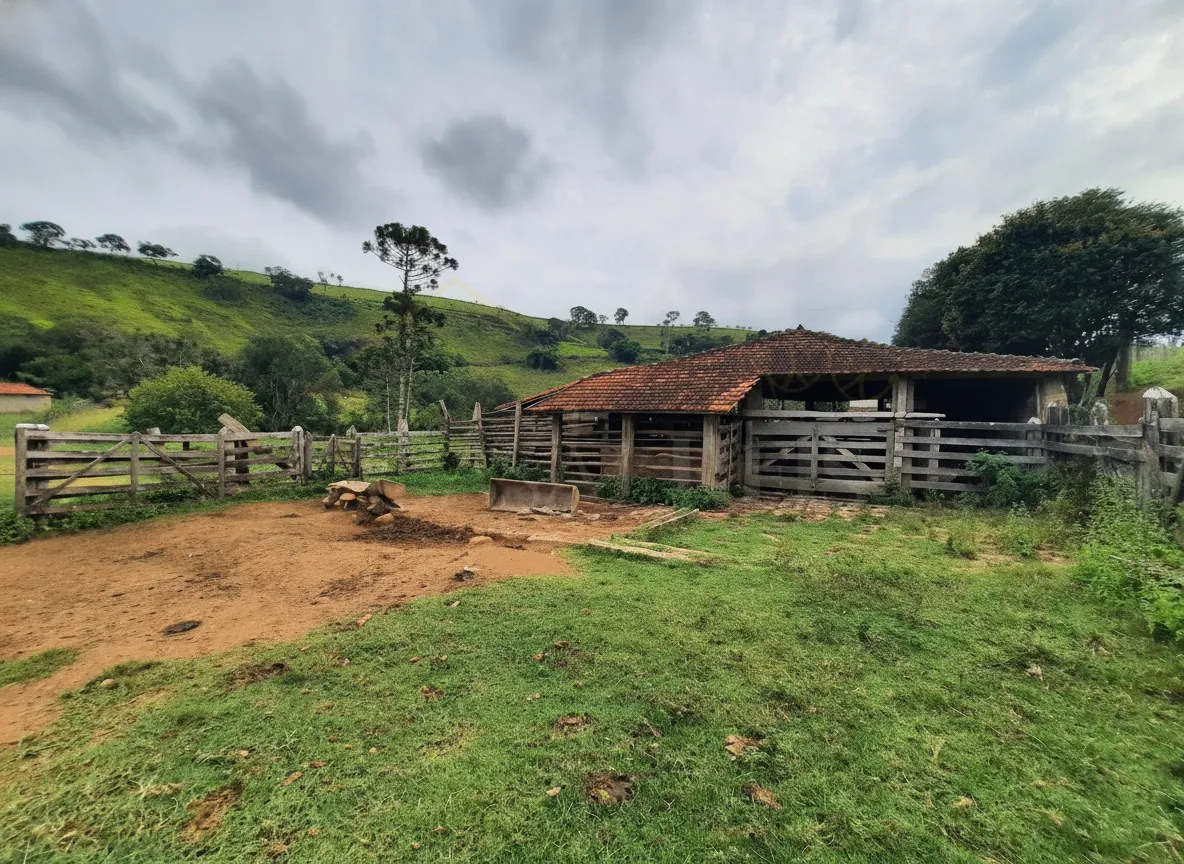 Imagem Sítio 52,64 ha à venda em Figueira, Caldas