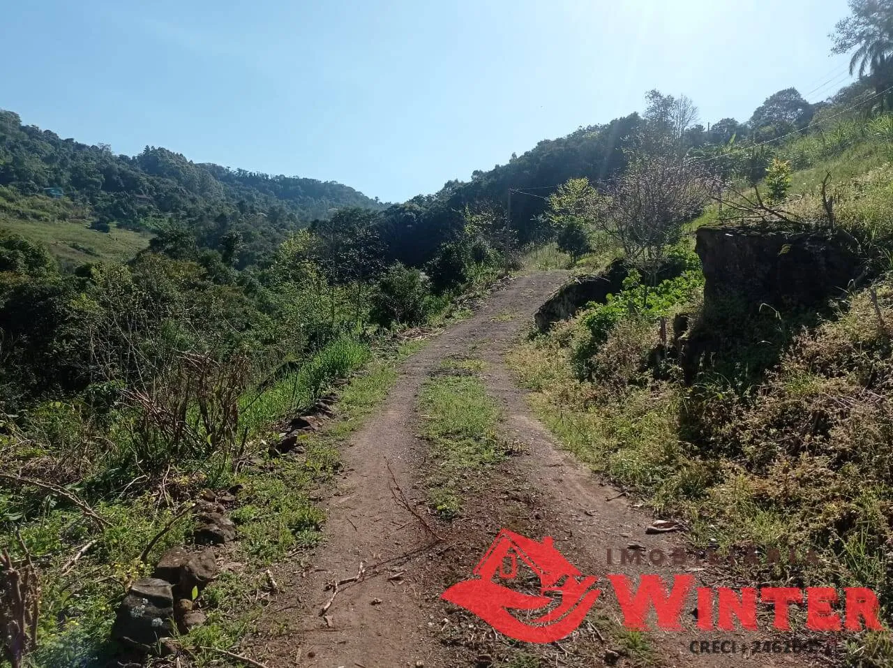 Imagem Chácara com 1,8hectares Canto Dewes, Alto Feliz.