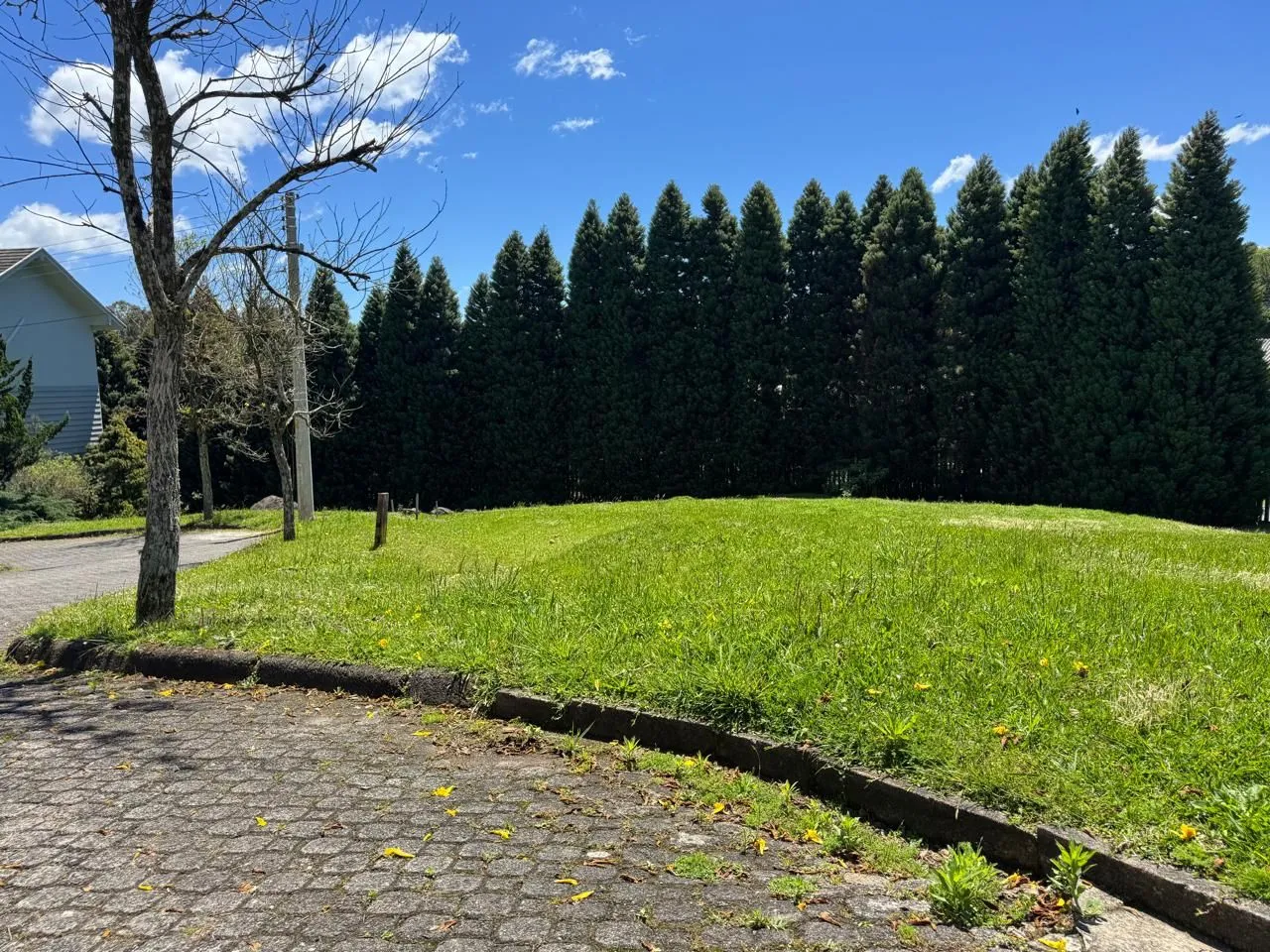 Imagem Terreno em Condomínio à venda em Gramado, Lagos do Bosque, 665.74m2