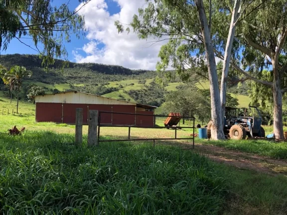 Imagem Fazenda à venda em Cocalzinho de Goiás/GO