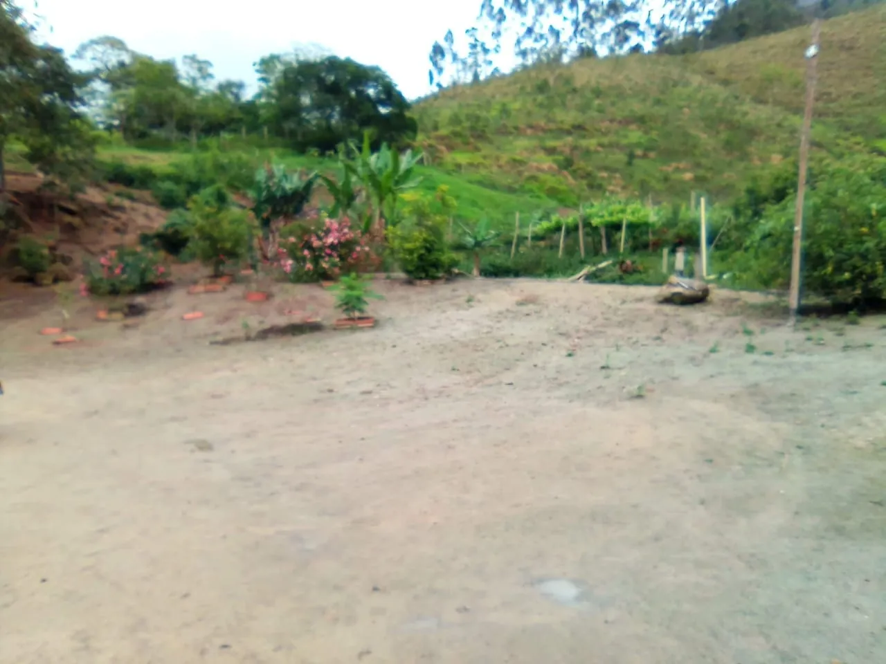 Imagem Excelente Propriedade Rural com 25 Hectares e Riqueza Hídrica
