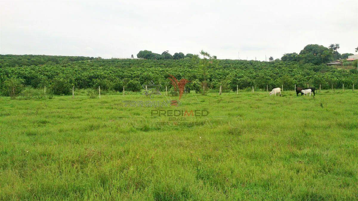 Imagem Área Rural em Conchal: Você Pode Morar no Interior com Muito Conforto!