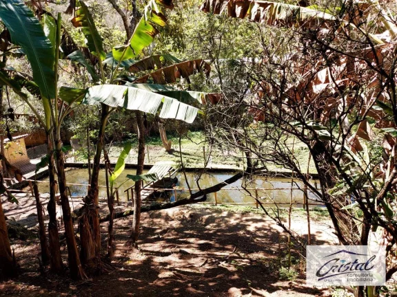 Imagem Chácara com 2 dormitórios à venda, 5500 m² - Serra da Cantareira - Mairiporã/SP