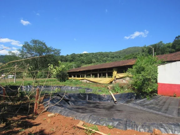 Imagem Área Agrícola para Venda em Lindóia do Sul, Rural