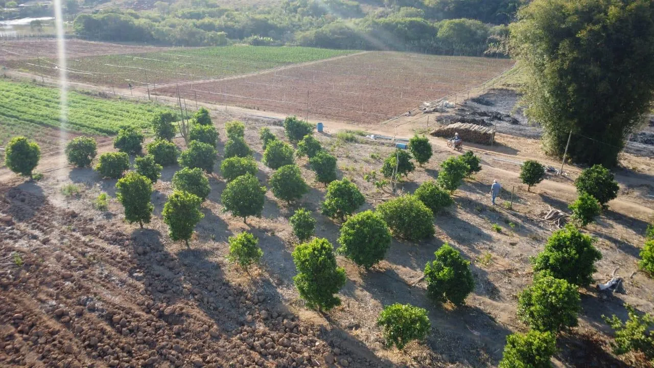 Imagem Vendo uma linda fazendinha em Passatempo/MG, com 30 hectares de terra .