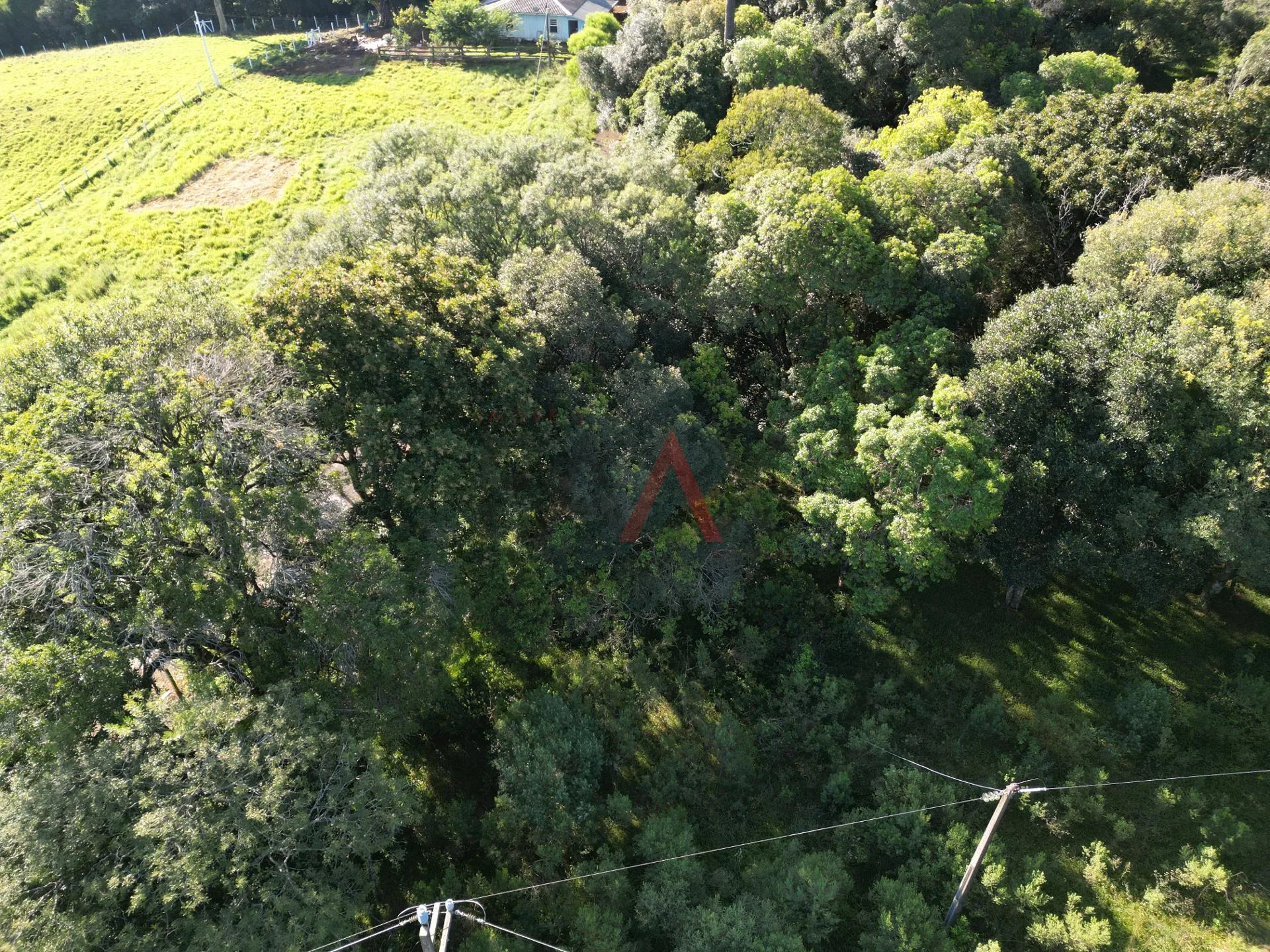 Imagem Terreno à venda com 3752.00 m no BOQUEIRÃO em GUARAPUAVA - PR