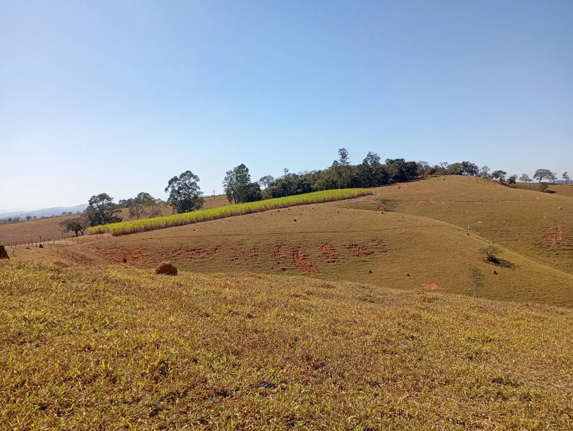 Imagem Vendo excelente sítio/fazendinha em Piedade dos Gerais/MG, com 30 hectares de terra