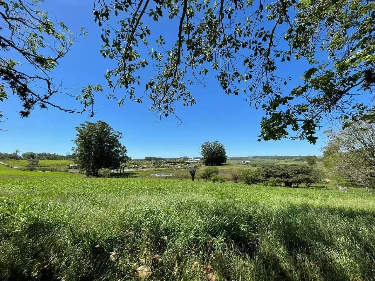 Imagem 90 Hectares de frente para o asfalto em Viamão