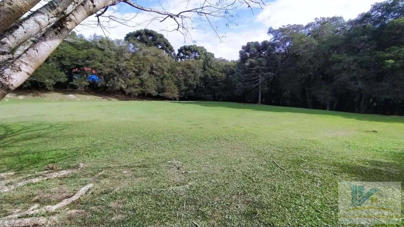 Imagem Terreno para Venda em São José dos Pinhais, Contenda, 2 dormitórios, 1 banheiro
