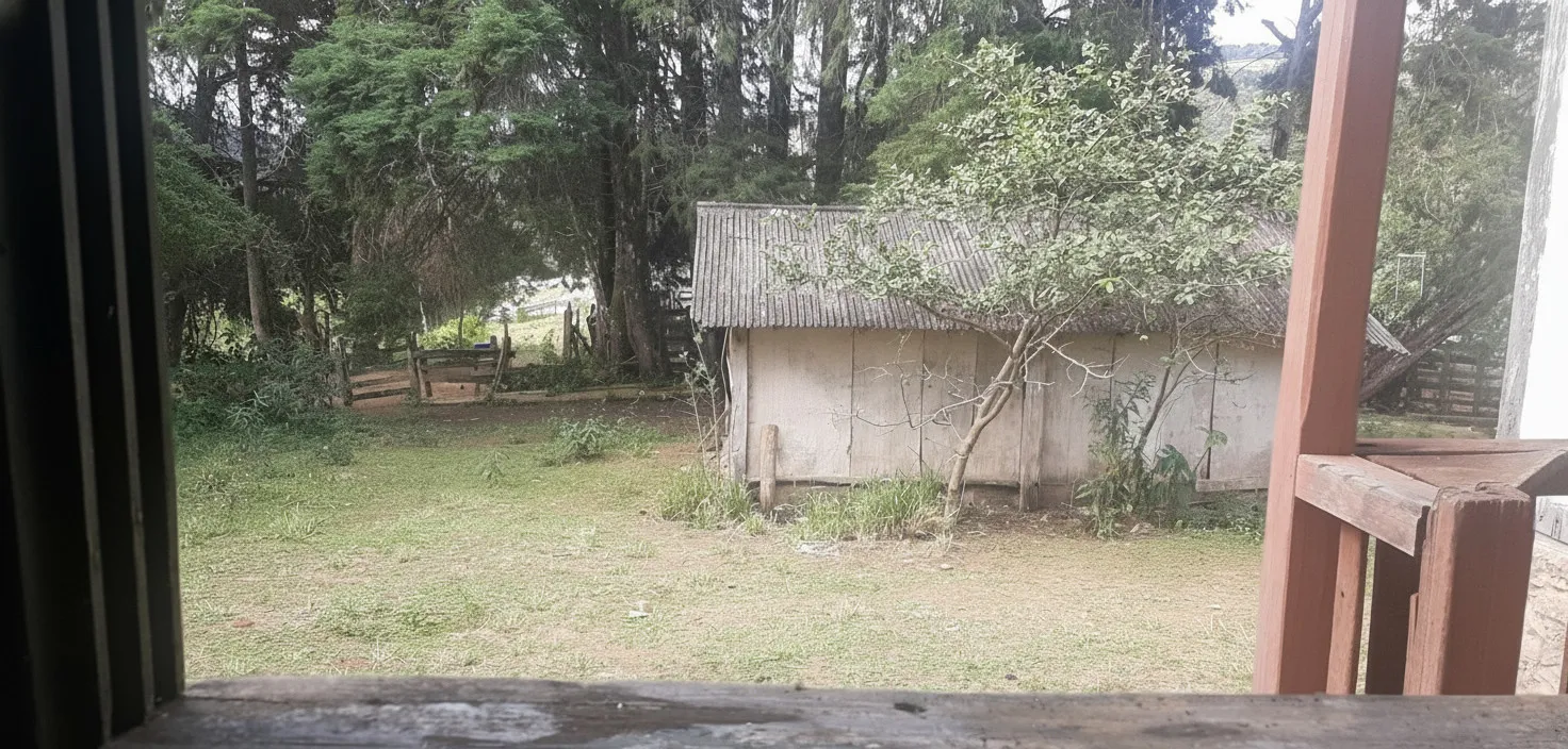 Imagem Fazenda 338,8 ha à venda em Itacolomi, Ipuiúna